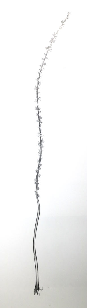 sylvie coignard plasticienne oeuvre