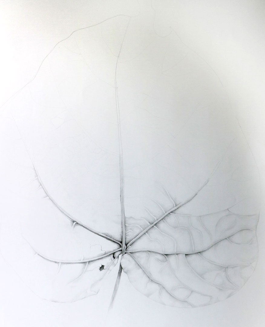 sylvie coignard plasticienne oeuvre