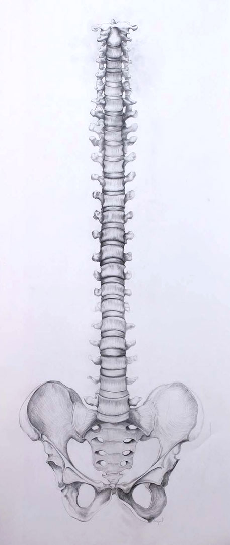 sylvie coignard plasticienne oeuvre