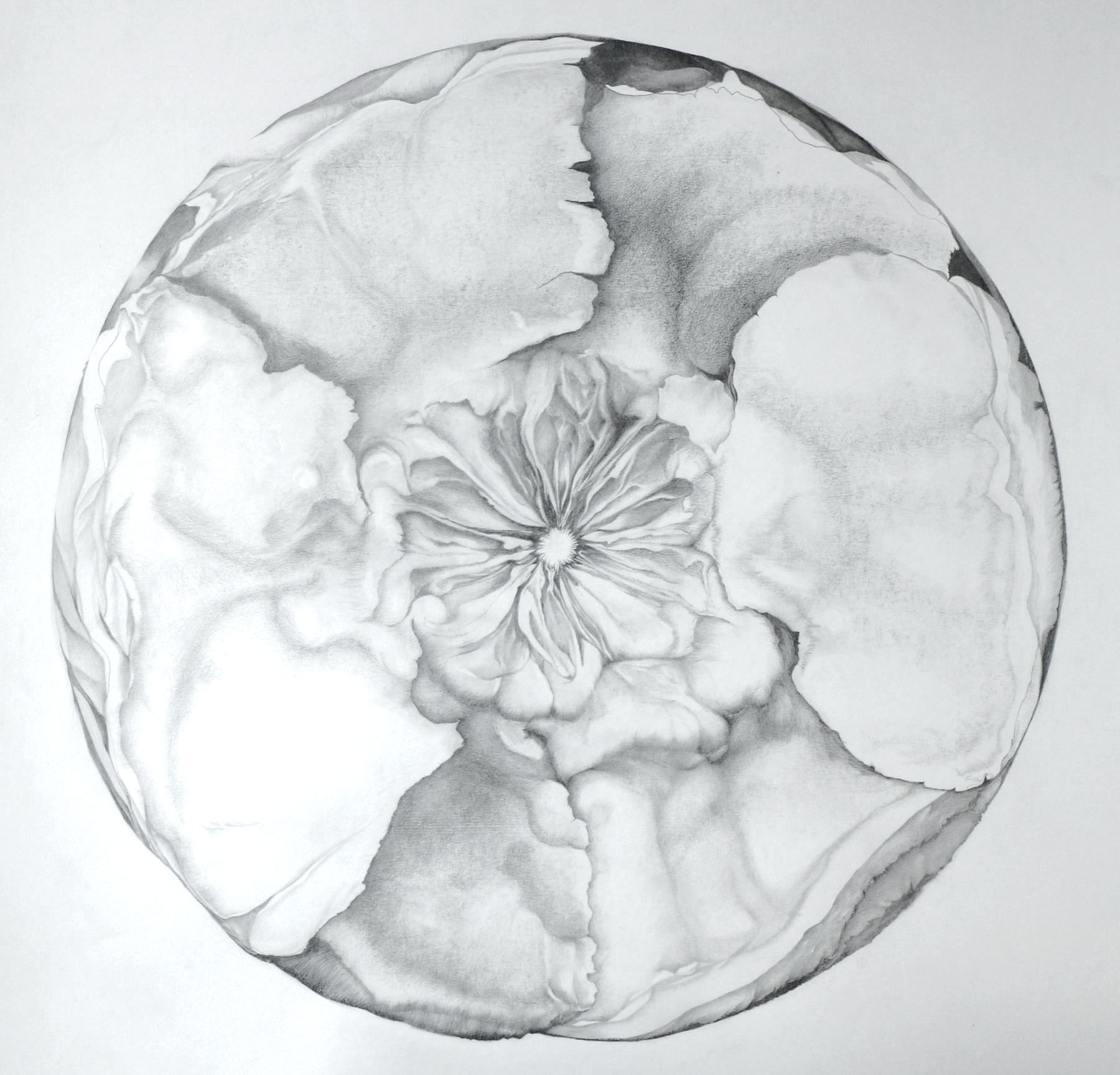 sylvie coignard rondin