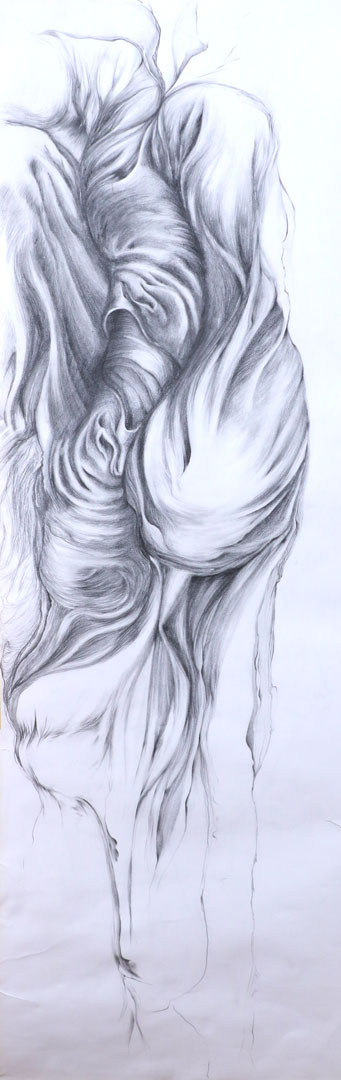 sylvie coignard plasticienne oeuvre