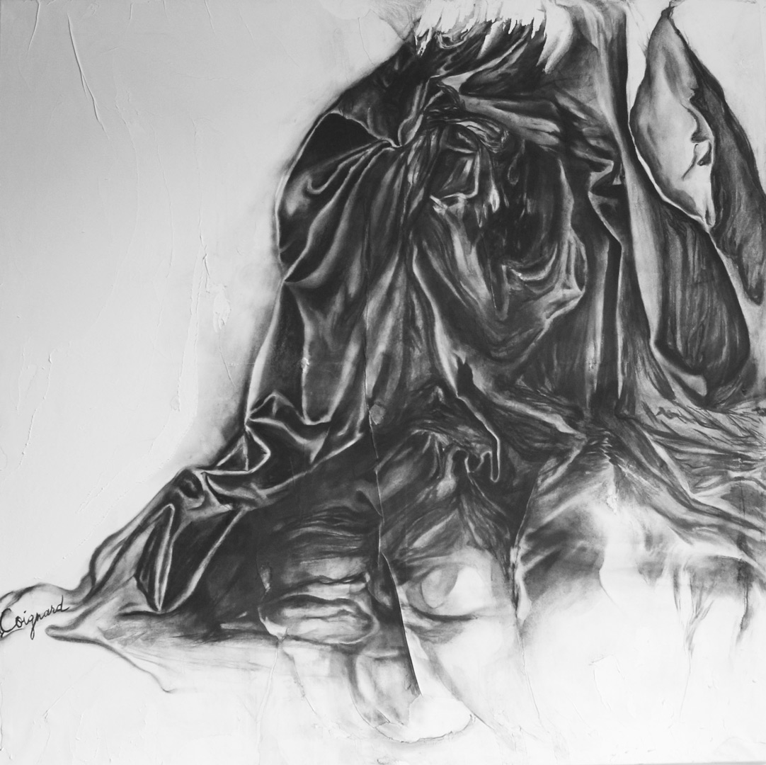 sylvie coignard drapecrane