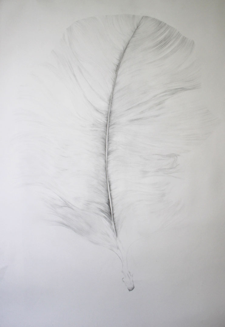 sylvie coignard plasticienne oeuvre