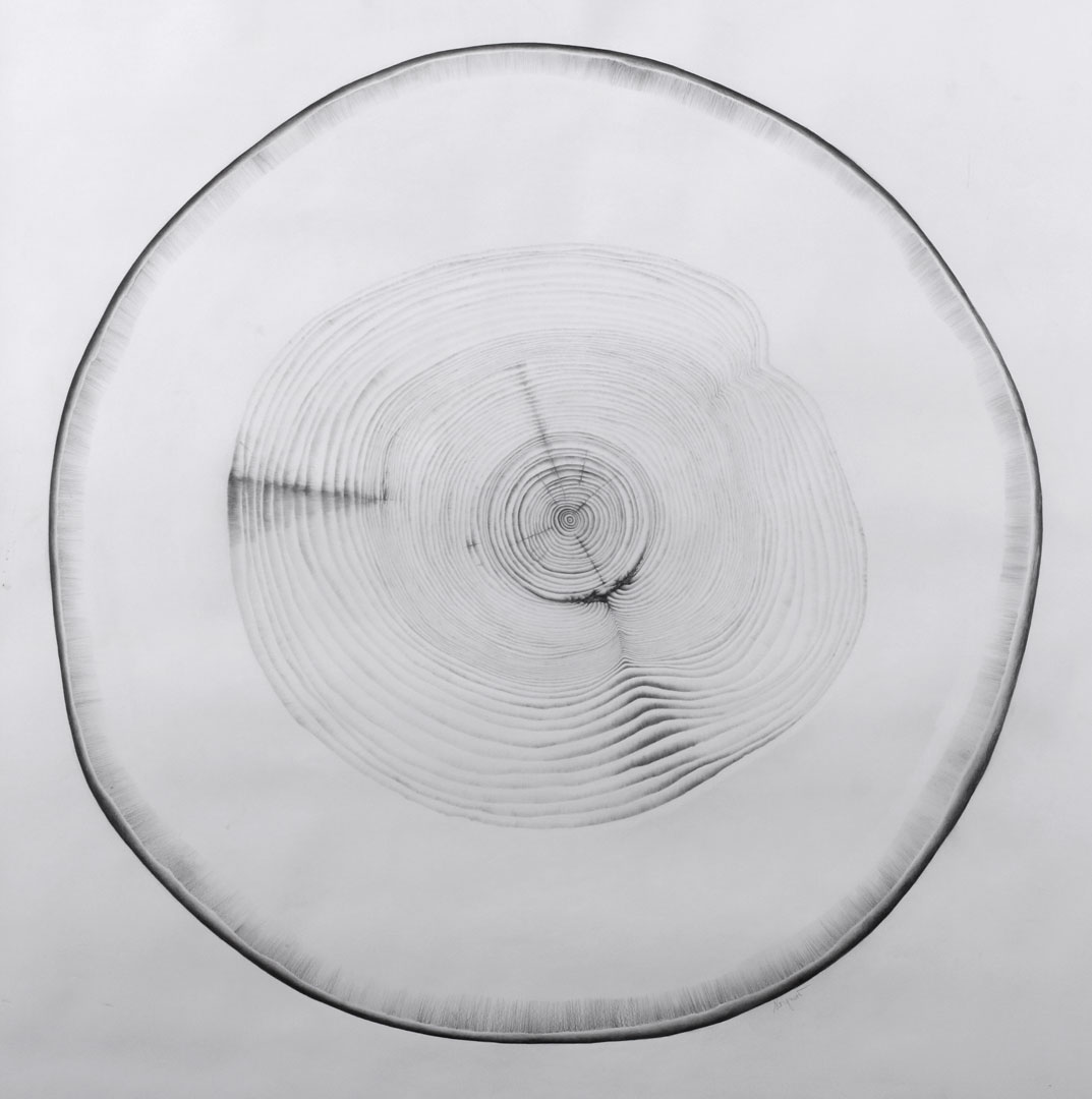 sylvie coignard plasticienne oeuvre