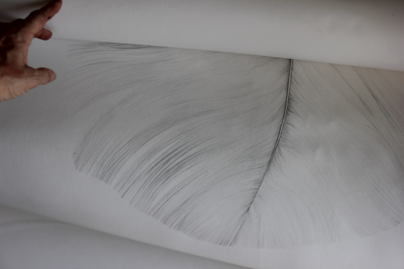 sylvie coignard plume