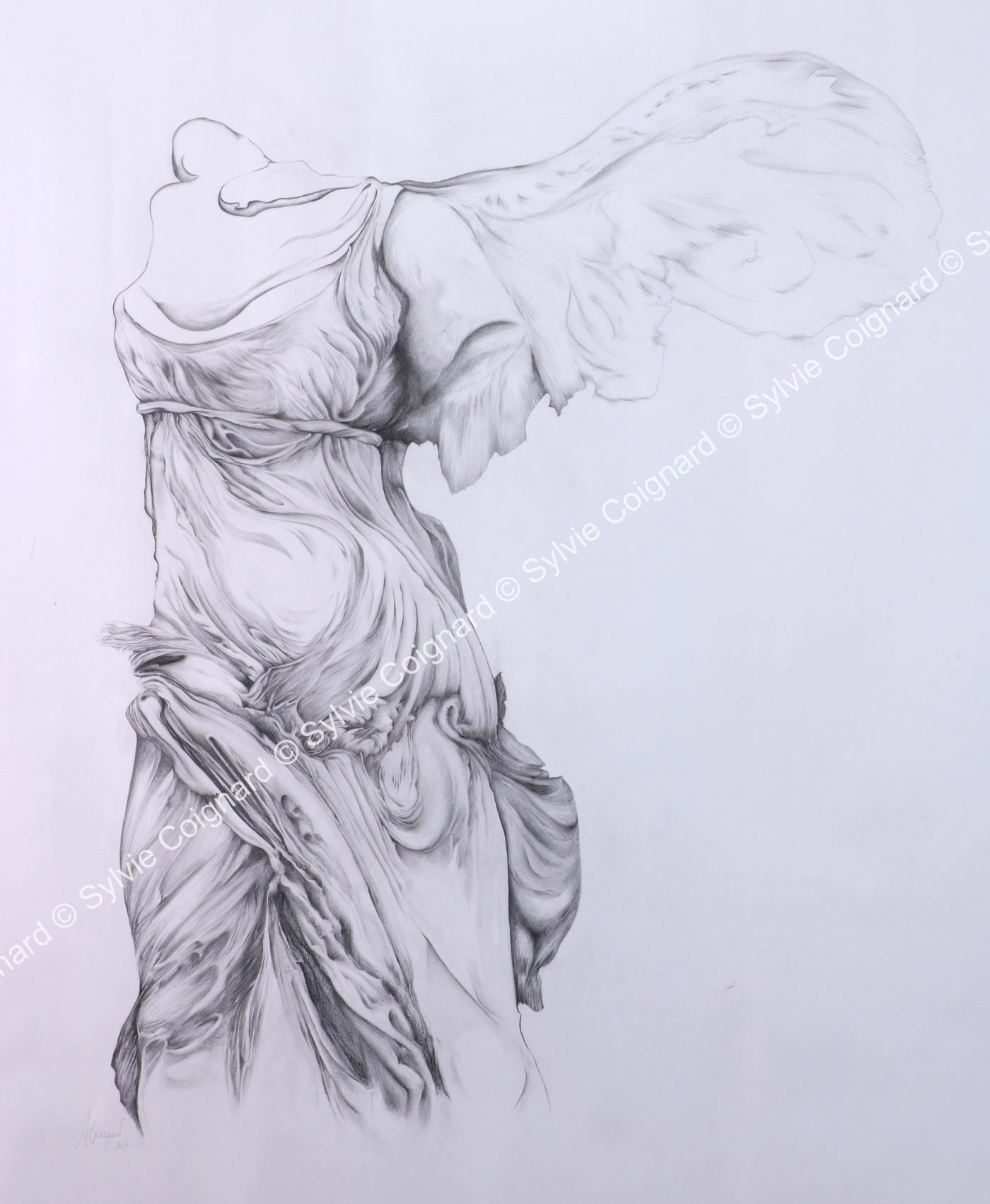 sylvie coignard victoire